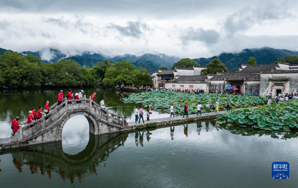 韦德红利